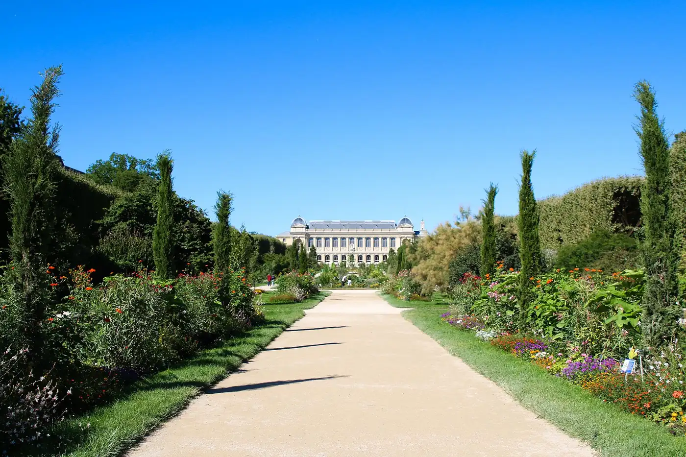 L'allée centrale du Jardin des plantes, ses plates-bandes et le Muséum au fond
