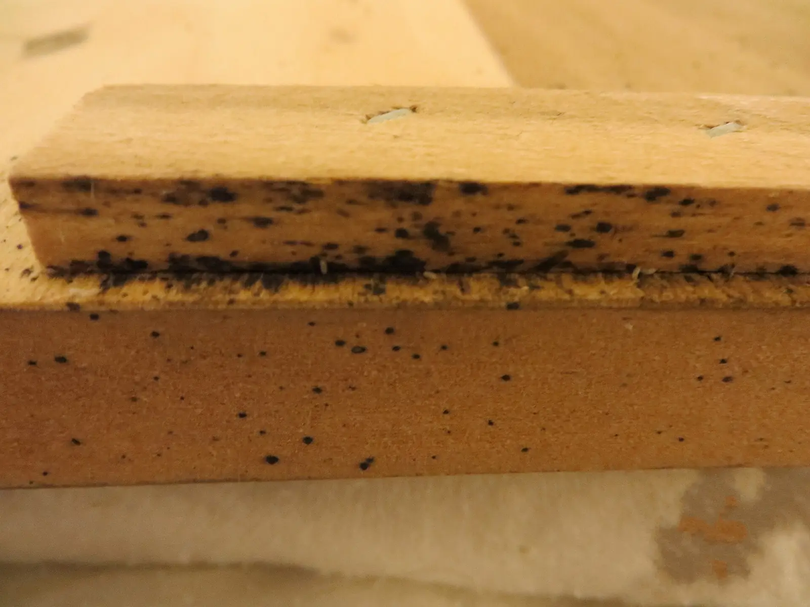 Une latte de sommier en bois couverte de petites taches noires, déjections de punaises de lit